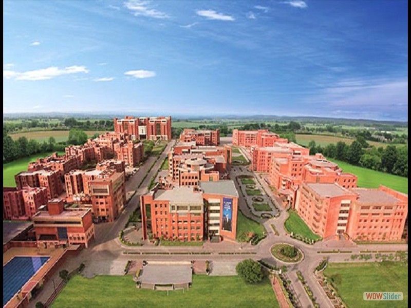 Amity University